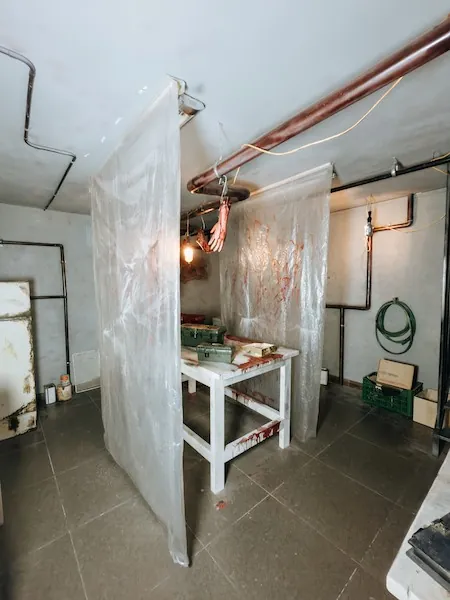 El asesinato de Elisa - Vista 2